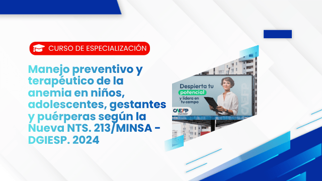 Manejo preventivo y terapéutico de la anemia en niños, adolescentes, gestantes y puérperas según la Nueva NTS. 213/MINSA - DGIESP. 2024