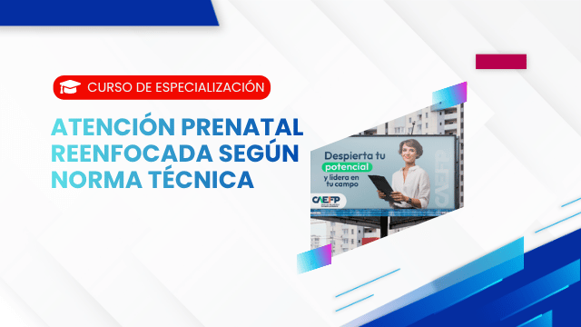 ATENCIÓN PRENATAL REENFOCADA SEGÚN NORMA TÉCNICA